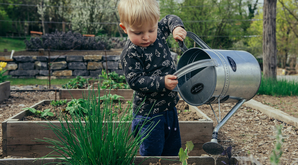 The Benefits of Epsom Salt in Gardening