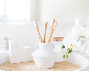 Adult Bamboo Toothbrush - Soft 2 Pack