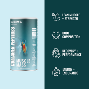 Joint Support + Muscle Mass + Creatine Monohydrate Bundle