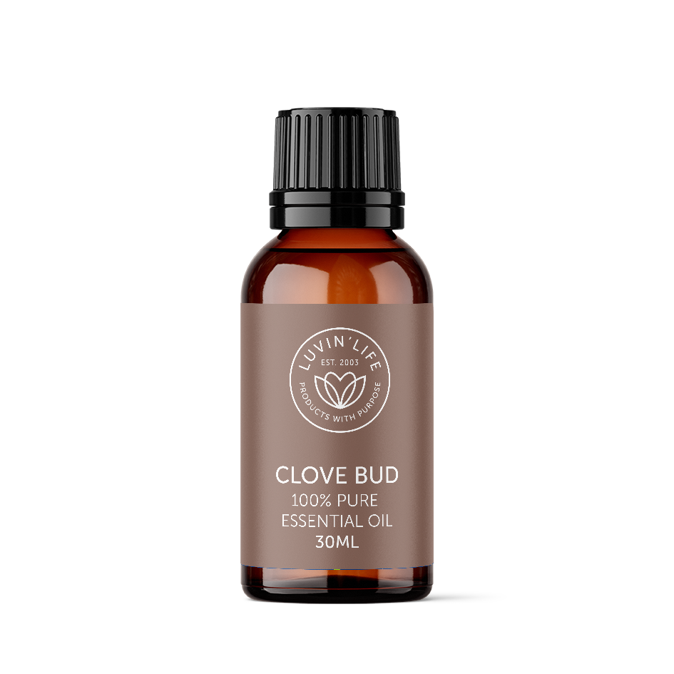 Clove Bud Pure Essential Oil - 30ml
