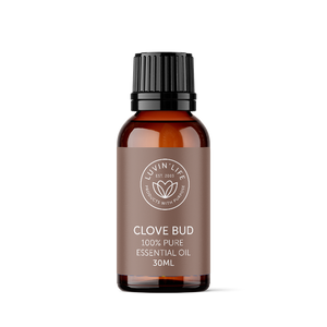 Clove Bud Pure Essential Oil - 30ml