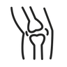 <p>Joint Mobility</p>