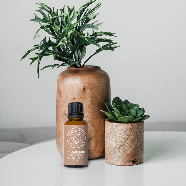 Clove Bud Pure Essential Oil - 30ml