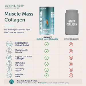 Muscle Mass Collagen