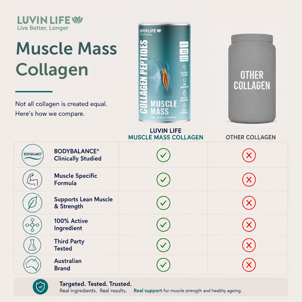 Muscle Mass Collagen