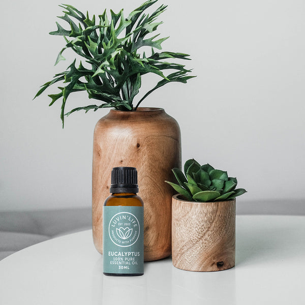 Eucalyptus Pure Essential Oil - 30ml