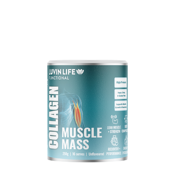 Muscle Mass Collagen