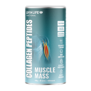 Muscle Mass Collagen