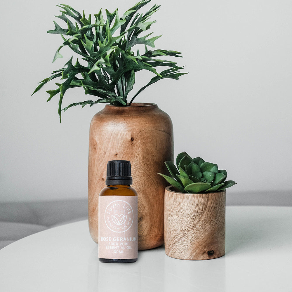 Rose Geranium Pure Essential Oil - 30ml