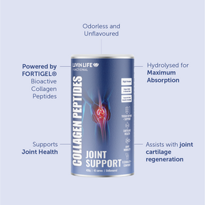 Joint Support + Muscle Mass + Creatine Monohydrate Bundle