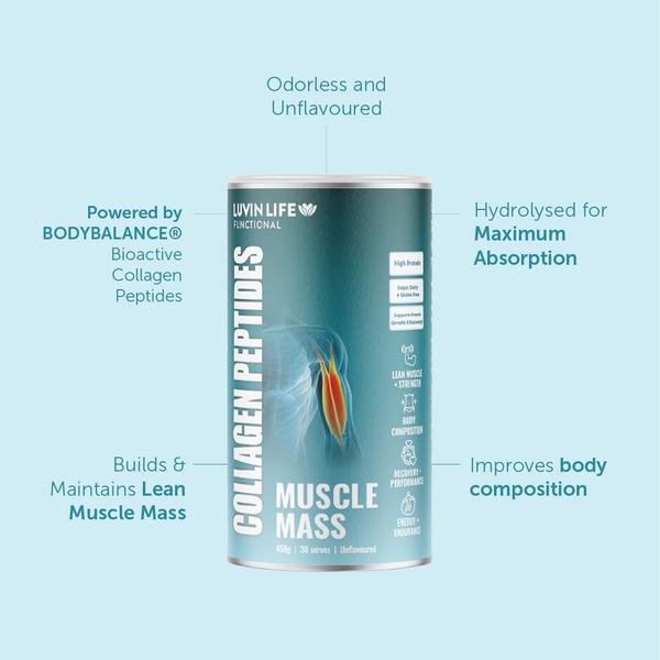 Joint Support + Muscle Mass + Creatine Monohydrate Bundle