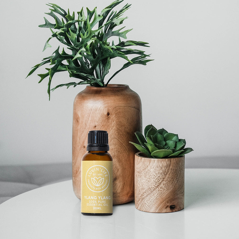 Ylang Ylang Pure Essential Oil - 30ml